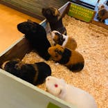 伊豆ぐらんぱる公園に投稿された画像（2024/1/19）