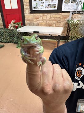 いきもの探検隊上尾に投稿された画像（2024/1/19）