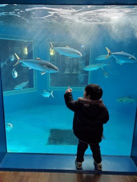 越前松島水族館に投稿された画像（2024/1/19）