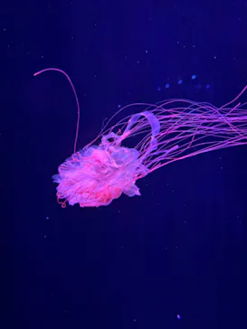 すみだ水族館に投稿された画像（2024/1/19）