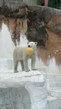 天王寺動物園に投稿された画像（2024/1/19）