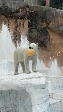 天王寺動物園に投稿された画像（2024/1/19）