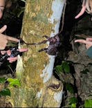 宮古島 ADVENTURE PiPi（ミヤコジマ アドベンチャー ピピ）に投稿された画像（2024/1/19）