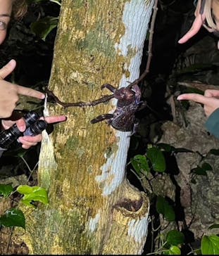 宮古島 ADVENTURE PiPi（ミヤコジマ アドベンチャー ピピ）に投稿された画像（2024/1/19）