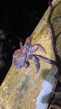 宮古島 ADVENTURE PiPi（ミヤコジマ アドベンチャー ピピ）に投稿された画像（2024/1/19）