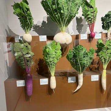 特別展「和食 ～日本の自然、人々の知恵～」に投稿された画像（2024/1/19）