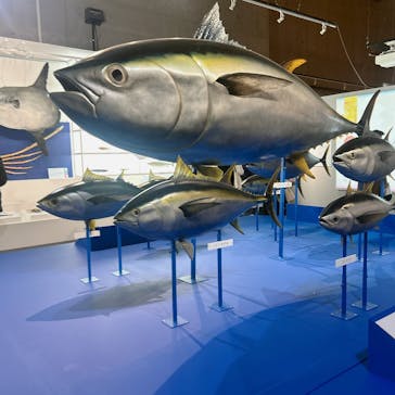 特別展「和食 ～日本の自然、人々の知恵～」に投稿された画像（2024/1/19）