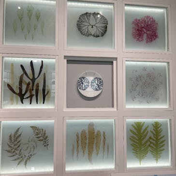 特別展「和食 ～日本の自然、人々の知恵～」に投稿された画像（2024/1/19）