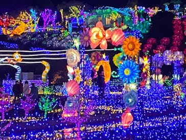 伊豆ぐらんぱる公園に投稿された画像（2024/1/19）