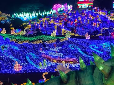 伊豆ぐらんぱる公園に投稿された画像（2024/1/19）