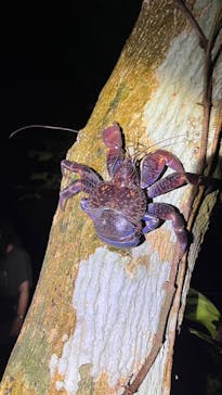 宮古島 ADVENTURE PiPi（ミヤコジマ アドベンチャー ピピ）に投稿された画像（2024/1/19）