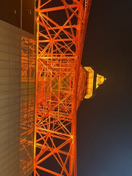 東京タワーに投稿された画像（2024/1/19）