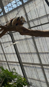 神戸どうぶつ王国に投稿された画像（2024/1/19）