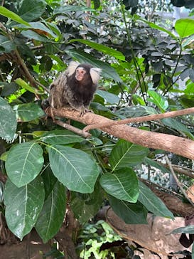 神戸どうぶつ王国に投稿された画像（2024/1/19）