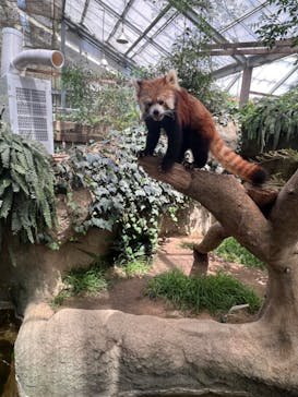 神戸どうぶつ王国に投稿された画像（2024/1/19）