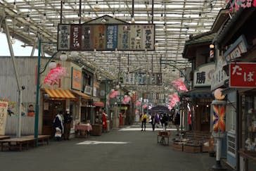 西武園ゆうえんちに投稿された画像（2024/1/20）