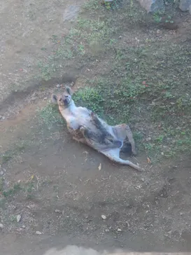 天王寺動物園に投稿された画像（2024/1/20）