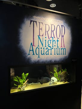 サンシャイン水族館に投稿された画像（2023/9/20）