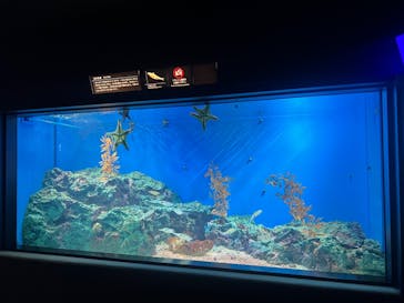 サンシャイン水族館に投稿された画像（2023/9/20）