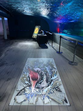 サンシャイン水族館に投稿された画像（2023/9/20）