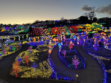 伊豆ぐらんぱる公園に投稿された画像（2024/1/20）