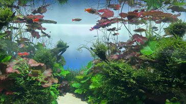 すみだ水族館に投稿された画像（2024/1/20）