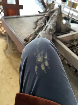 横浜・八景島シーパラダイスに投稿された画像（2024/1/20）