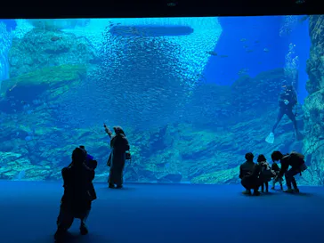 仙台うみの杜水族館に投稿された画像（2024/1/20）