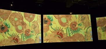 ゴッホ・アライブに投稿された画像（2024/1/20）