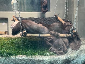 サンシャイン水族館に投稿された画像（2024/1/20）