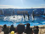 仙台うみの杜水族館に投稿された画像（2024/1/20）