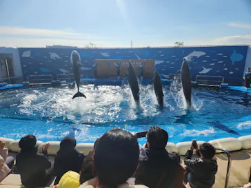 仙台うみの杜水族館に投稿された画像（2024/1/20）