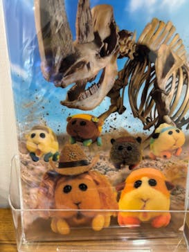 特別展「化石ハンター展 ～ゴビ砂漠の恐竜とヒマラヤの超大型獣～」＠名古屋に投稿された画像（2024/1/20）