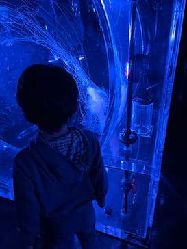 マクセル アクアパーク品川に投稿された画像（2024/1/20）