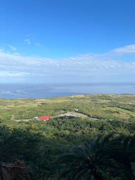 アスムイハイクスに投稿された画像（2024/1/20）