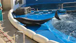 仙台うみの杜水族館に投稿された画像（2024/1/20）