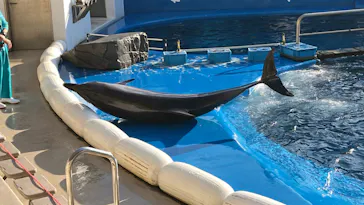 仙台うみの杜水族館に投稿された画像（2024/1/20）