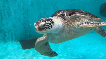 仙台うみの杜水族館に投稿された画像（2024/1/20）