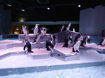 AOAO SAPPOROに投稿された画像（2024/1/20）