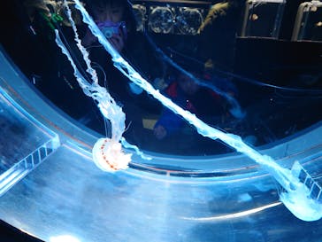 AOAO SAPPOROに投稿された画像（2024/1/20）