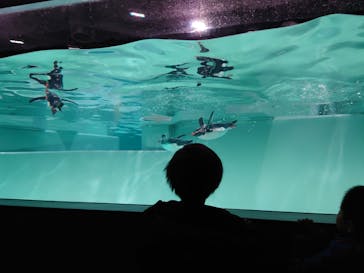 AOAO SAPPOROに投稿された画像（2024/1/20）