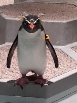 AOAO SAPPOROに投稿された画像（2024/1/20）