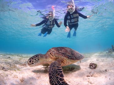 CHAMP TOUR　宮古島に投稿された画像（2024/1/20）