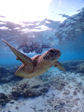 CHAMP TOUR　宮古島に投稿された画像（2024/1/20）