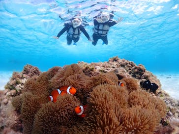 CHAMP TOUR　宮古島に投稿された画像（2024/1/20）