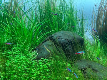 AOAO SAPPOROに投稿された画像（2024/1/20）