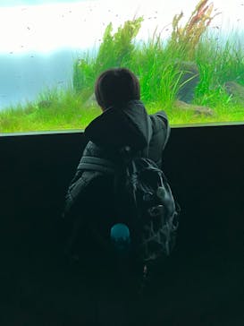 AOAO SAPPOROに投稿された画像（2024/1/20）