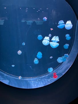 AOAO SAPPOROに投稿された画像（2024/1/20）