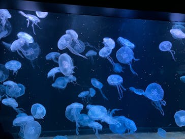 AOAO SAPPOROに投稿された画像（2024/1/20）