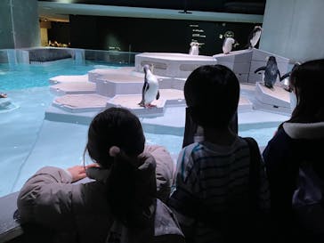 AOAO SAPPOROに投稿された画像（2024/1/20）